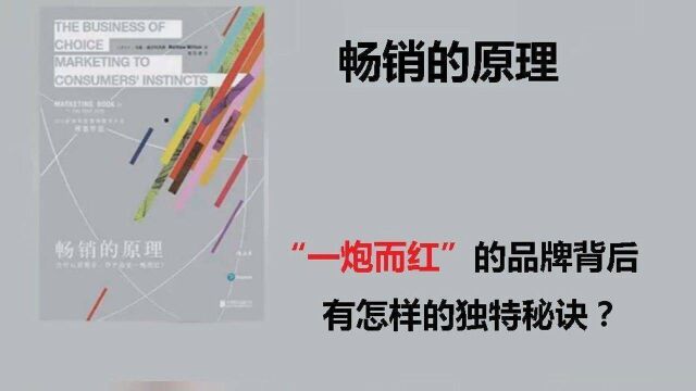 《畅销的原理》:“一炮而红”的品牌背后,有怎样的独特秘诀?