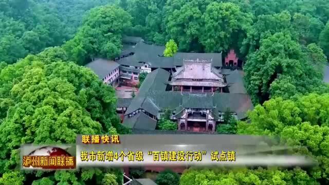 我市新增4个省级“百镇建设行动”试点镇