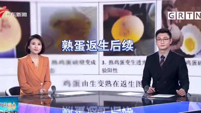 河南郑州 “熟鸡蛋返生孵小鸡”事件 涉事校长辞职杂志停刊整顿