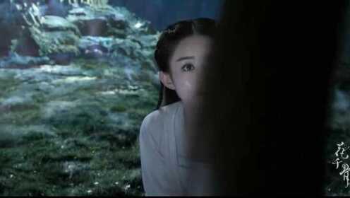 白子画成功解,卜元鼎之毒