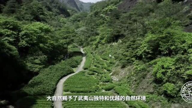 武夷山风景区