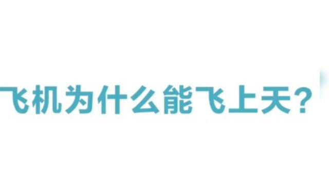 关注欣宇带你看世界