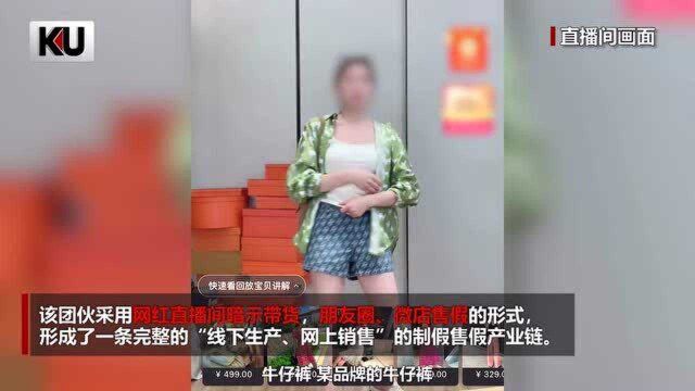 网红直播带假货销售金额3400余万 11人被公诉