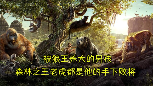 《奇幻森林》:男孩森林奇幻冒险记,大蟒蛇斗老虎独闯猩猩王国