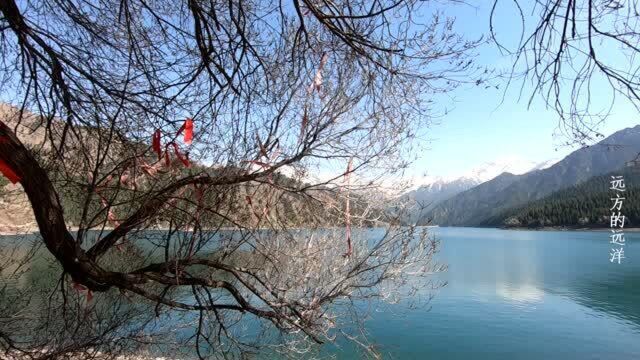 新疆天山天池景区属于国家级5A景区,有高山湖泊、针叶林、雪山,景色真美!而且关于王母的传说就更得一去了