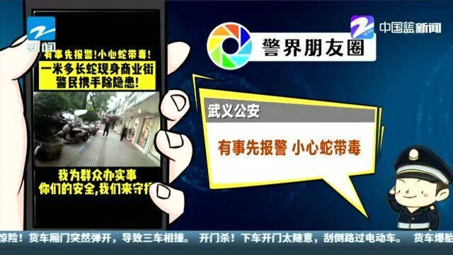 武义公安:有事先报警 小心蛇带毒