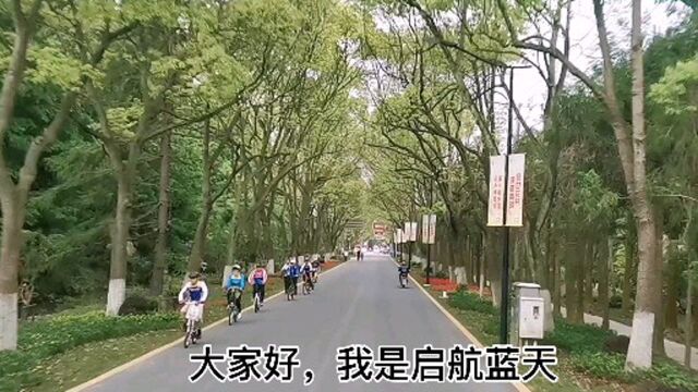 花博园遇见崇明最美公路—北沿公路,行驶在这条路上赏心悦目啊