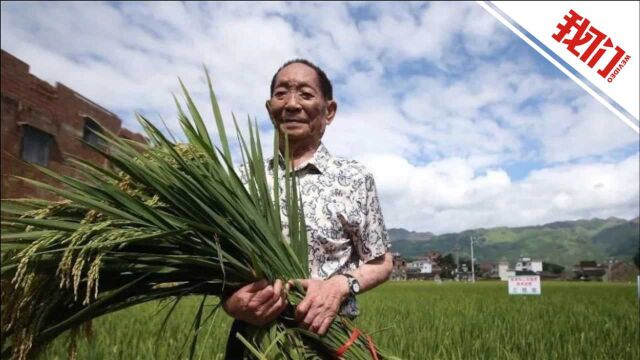 袁隆平院士经典语录:一粒粮食能救一个国家 也可以绊倒一个国家