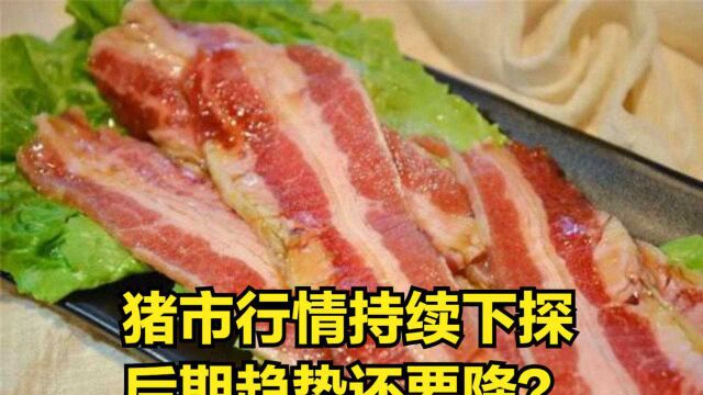 猪市行情持续下探,养殖户哽咽不已,后期猪价趋势如何?还要降吗