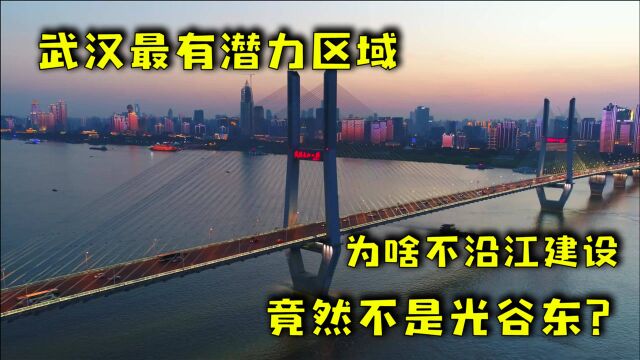 武汉这个地方最有发展潜力?未来十年碾压光谷东!网友:想太多?