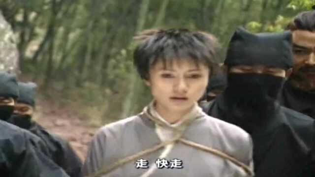 有情鸳鸯无情剑:元济没想到元娟那么痴情,还没找到邵达