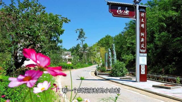 洛南县北部的这个村,为什么被称为“商洛市第一村”?