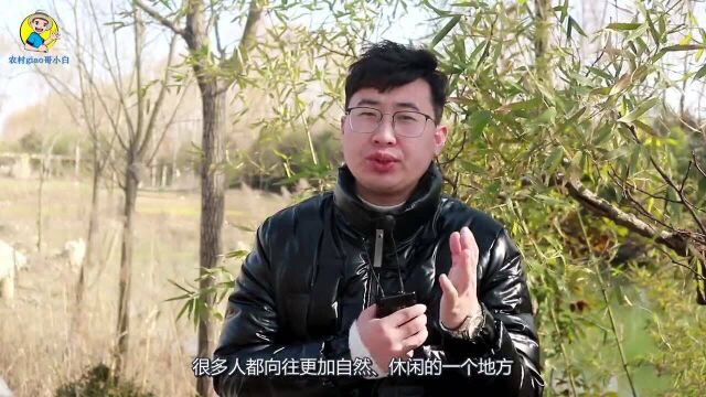 农家乐变成“农家哭”,曾经火爆的农家乐,为什么逐渐冷清了?