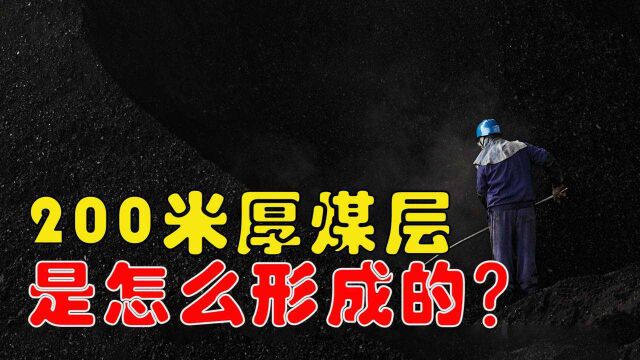 人们居然发现了200米厚的煤层,这么厚的煤层究竟是怎么形成的? #“知识抢先知”征稿大赛#