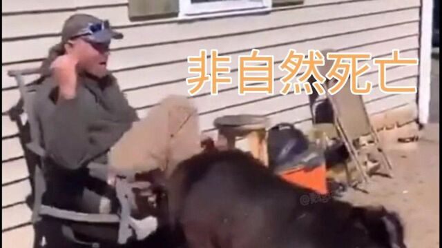 非 自 然 死 亡