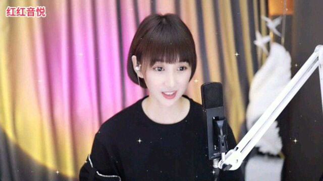 梁红《百花香》DJ版