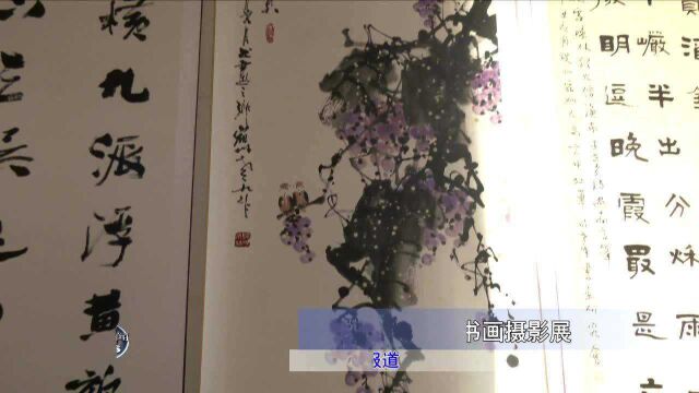 我县举办庆祝建党一百周年书画摄影展