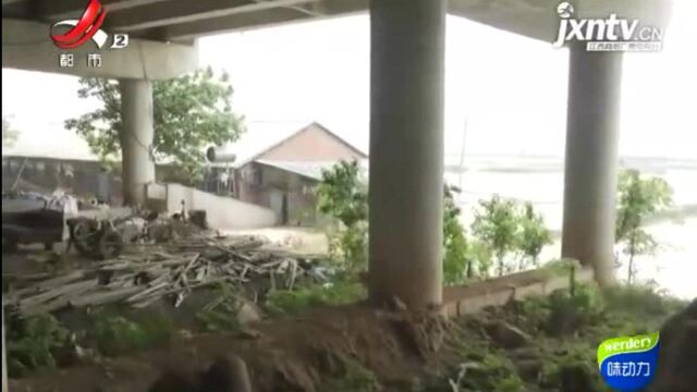 南昌新建区:高架桥下私搭乱建 附近居民吐槽环境差 整治工作已在进行