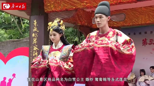 “婚恋+莲花”,打造番禺莲花文化旅游节新亮点