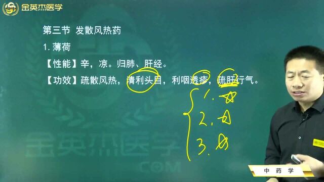 中医中药学:薄荷是一种发散风热药你知道了吗?发散风热药的功效和性能看这里.