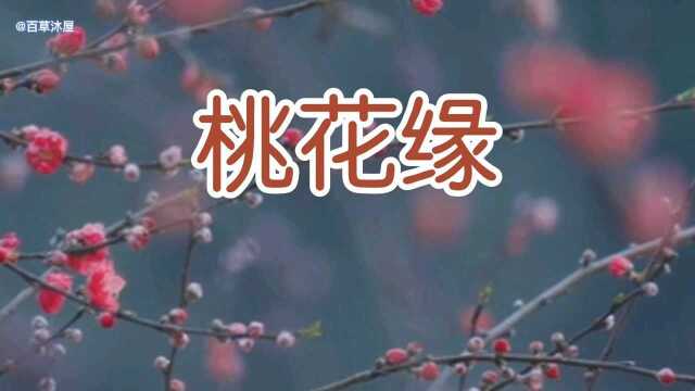 好歌传唱 桃花缘