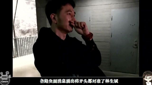 破案了?寺庙方回应林生斌捐井:字和莲花都为寺方选定,正常使用