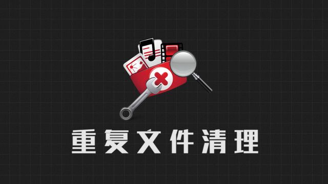 Duplicate Cleaner Pro – 更好的重复文件清理工具