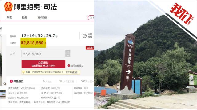 河南一4A级景区被司法拍卖:起拍价5281万 此前已流拍三次