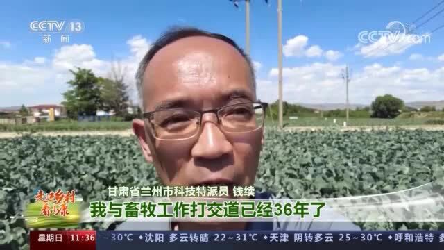 走进乡村看小康 | 我是科技特派员 乡村振兴有我!