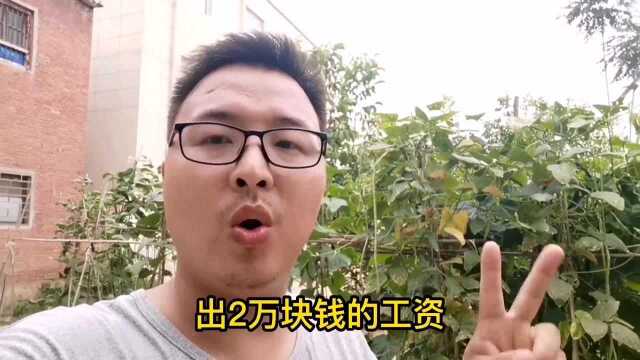 一个月工资20000元,只招60岁以上的老人,听完要求后没有人愿意做