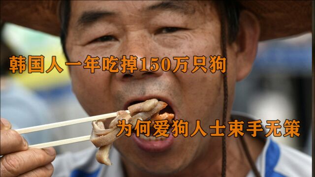 韩国人也爱吃狗肉,一年吃掉150万只狗,为何爱狗人士束手无策?