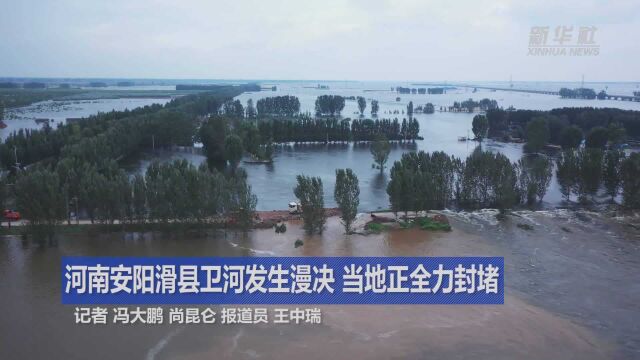 关注河南强降雨|河南安阳滑县卫河发生漫决 当地正全力封堵