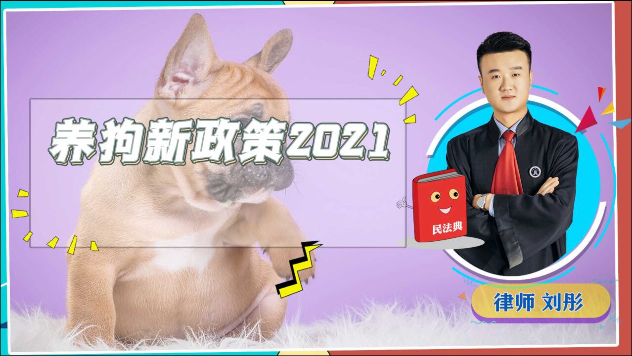 2021年《民法典》正式生效,其中对养狗人士,作出了新的规定!