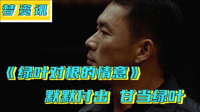 默默付出,甘当绿叶,《绿叶对根的情意》正式定档8.26