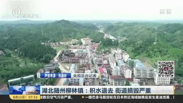 湖北随州柳林镇:积水退去 街道损毁严重