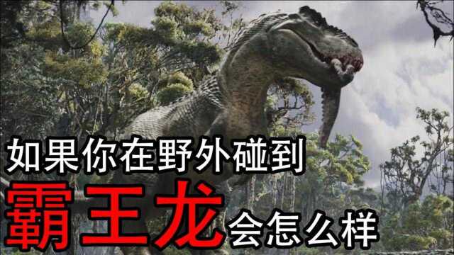 科普知识:如果你在野外碰到霸王龙会怎么样