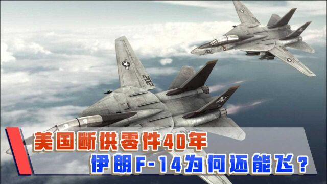 美国断供伊朗零件40年,F14还能飞?美国发誓要揪出内鬼