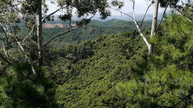 山里的风景好美