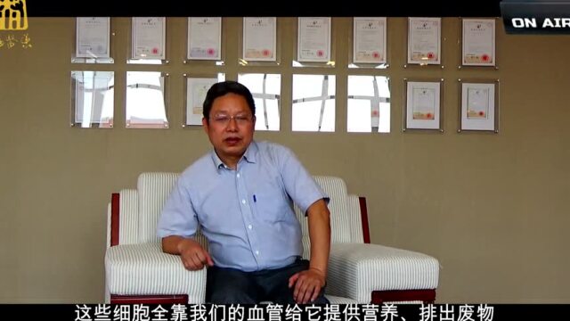 福硒酶武汉大学王业富教授座谈四