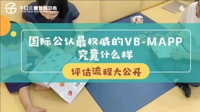 国际最权威的VBMAPP评估究竟是怎么样的❓评估流程大公开