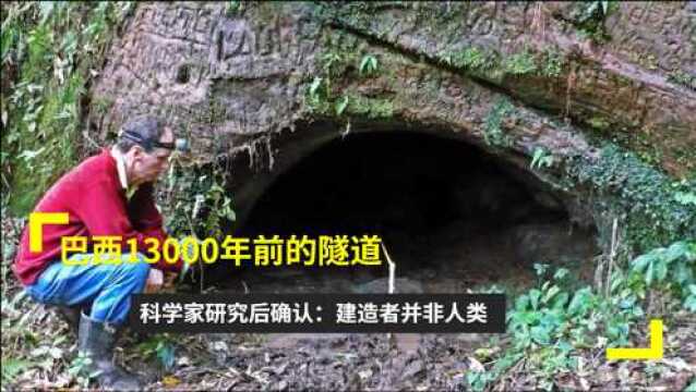 巴西13000年前的隧道,科学家研究后确认:建造者并非人类