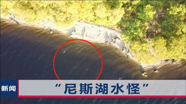 美媒:无人机拍到“尼斯湖水怪”,身长接近28英尺,视频曝光