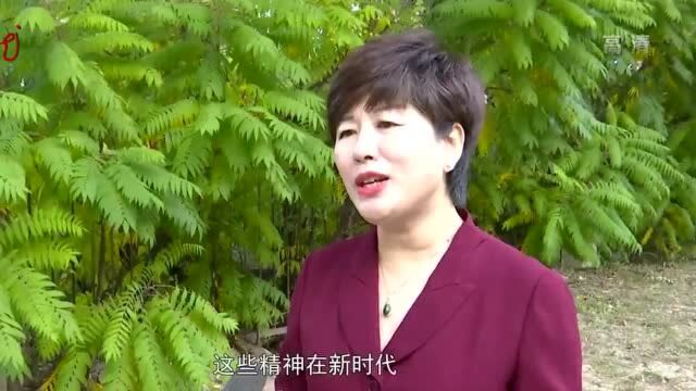 【视频】龙江“四大精神”纳入中国共产党人精神谱系