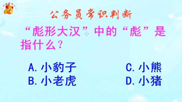 公务员常识判断,彪形大汉中的彪是指什么?难不倒学霸