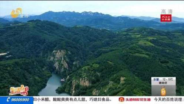 航拍日照五莲山水美景,放眼望去满目绿色,湖光山色美如画卷