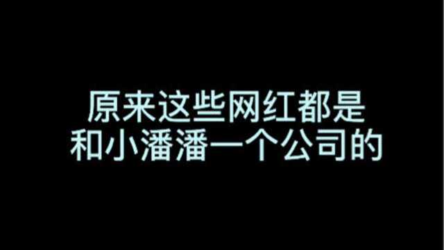 原来这些网红都和小潘潘一个公司的,视频风格都一模一样,网友:这是流水线批量生产吗