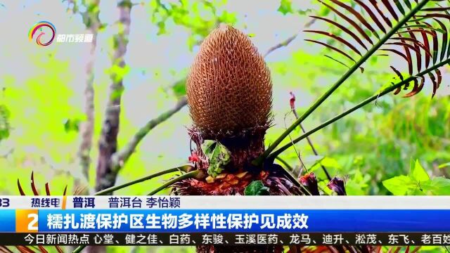 糯扎渡保护区生物多样性保护见成效