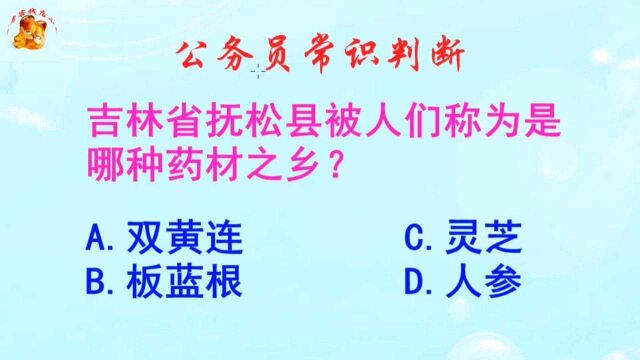 公务员常识判断,吉林抚松被人们称为是哪种药材之乡?长见识