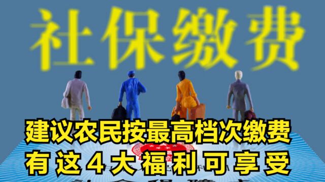 交200元不够养老!建议农民按最高档次缴费,4大福利可享受