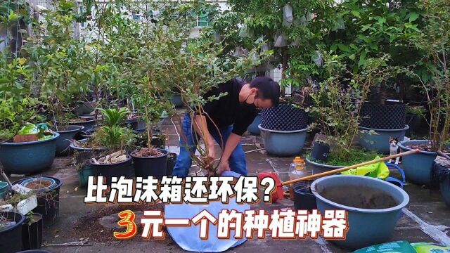 比泡沫箱更经济环保?3元一个的养花种菜神器,比任何花盆都透气